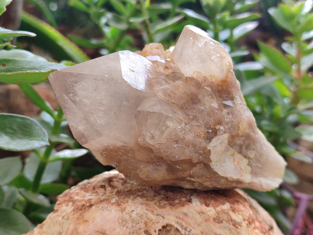 Natural Smokey Phantom Quartz Clusters x 2 From Luena, Congo - Toprock Gemstones and Minerals 