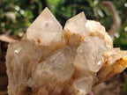 Natural Smokey Phantom Quartz Clusters x 2 From Luena, Congo - Toprock Gemstones and Minerals 