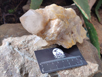 Natural Smokey Phantom Quartz Clusters x 2 From Luena, Congo - Toprock Gemstones and Minerals 