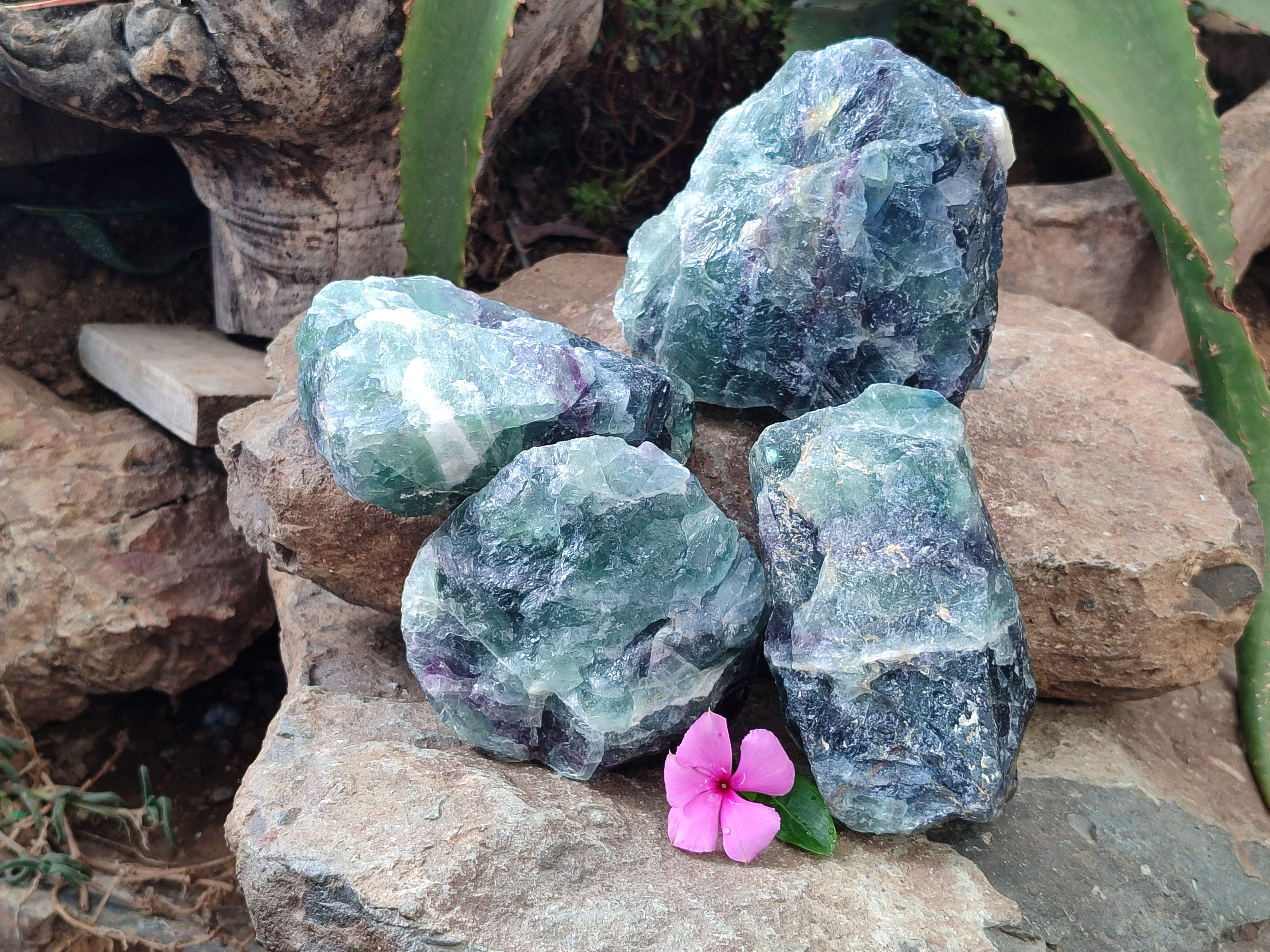Natural Watermelon Fluorite Cobbed Specimens x 4 From Uis, Namibia - Toprock Gemstones and Minerals 