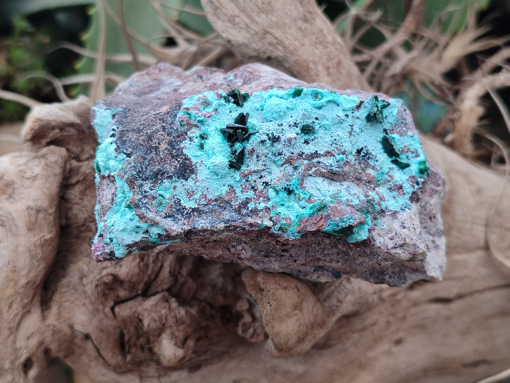 Natural Salrose Cobaltion Dolomite Specimens x 3 From Kakanda, Congo - Toprock Gemstones and Minerals 