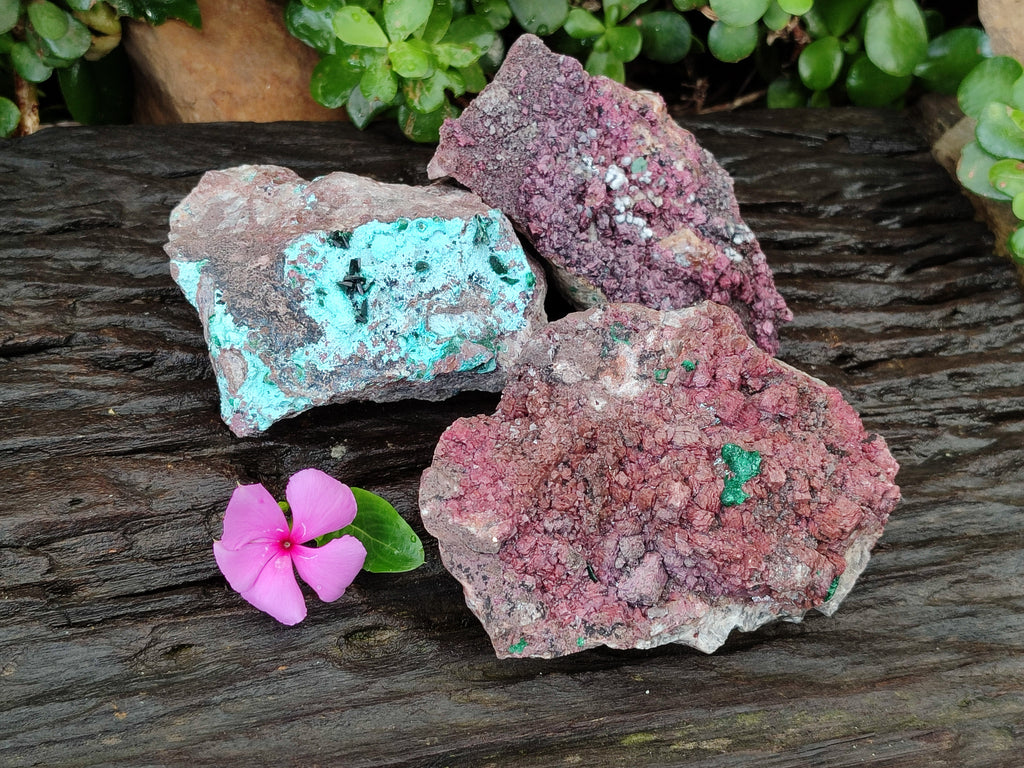 Natural Salrose Cobaltion Dolomite Specimens x 3 From Kakanda, Congo - Toprock Gemstones and Minerals 