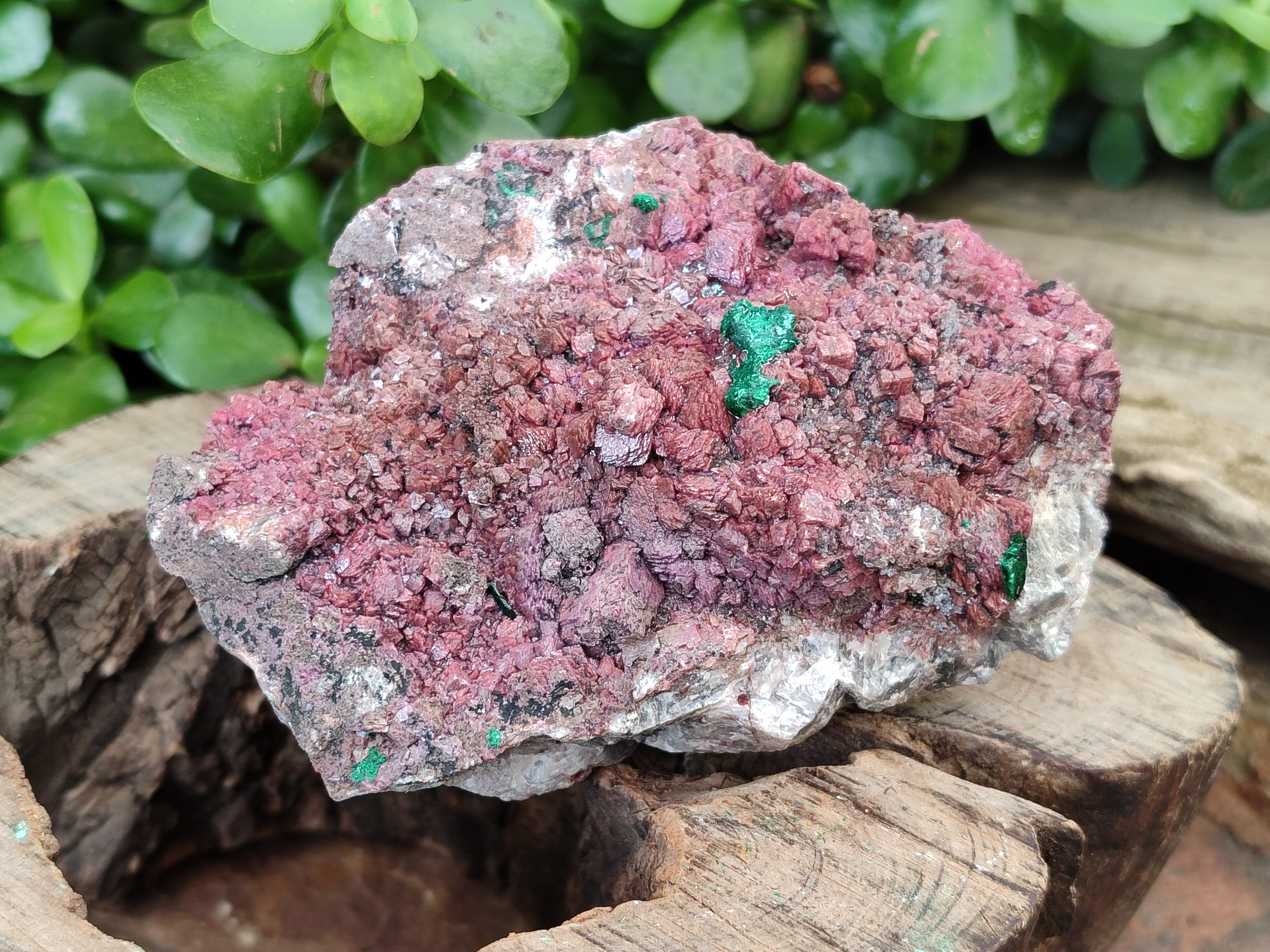 Natural Salrose Cobaltion Dolomite Specimens x 3 From Kakanda, Congo - Toprock Gemstones and Minerals 