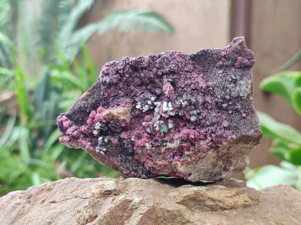 Natural Salrose Cobaltion Dolomite Specimens x 3 From Kakanda, Congo - Toprock Gemstones and Minerals 