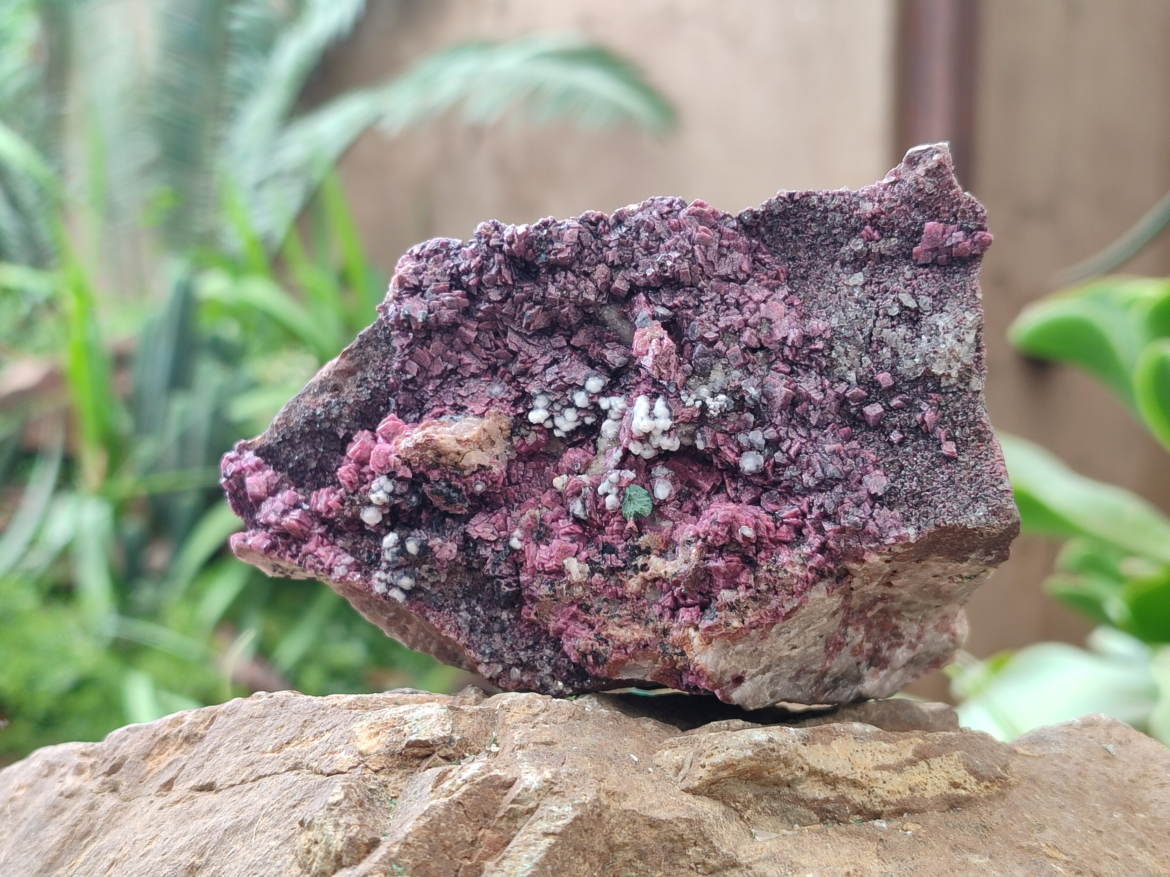 Natural Salrose Cobaltion Dolomite Specimens x 3 From Kakanda, Congo - Toprock Gemstones and Minerals 