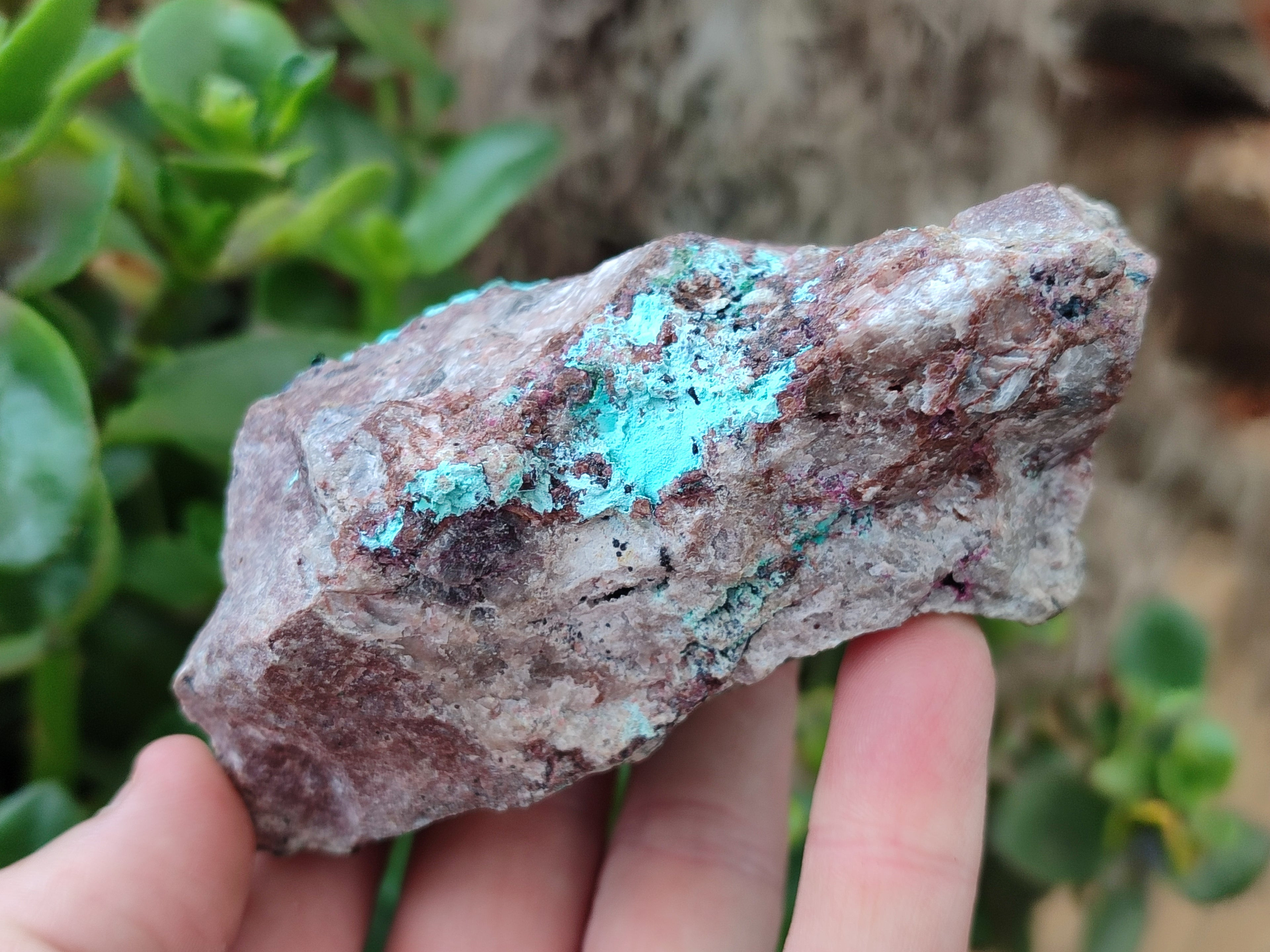 Natural Salrose Cobaltion Dolomite Specimens x 3 From Kakanda, Congo - Toprock Gemstones and Minerals 