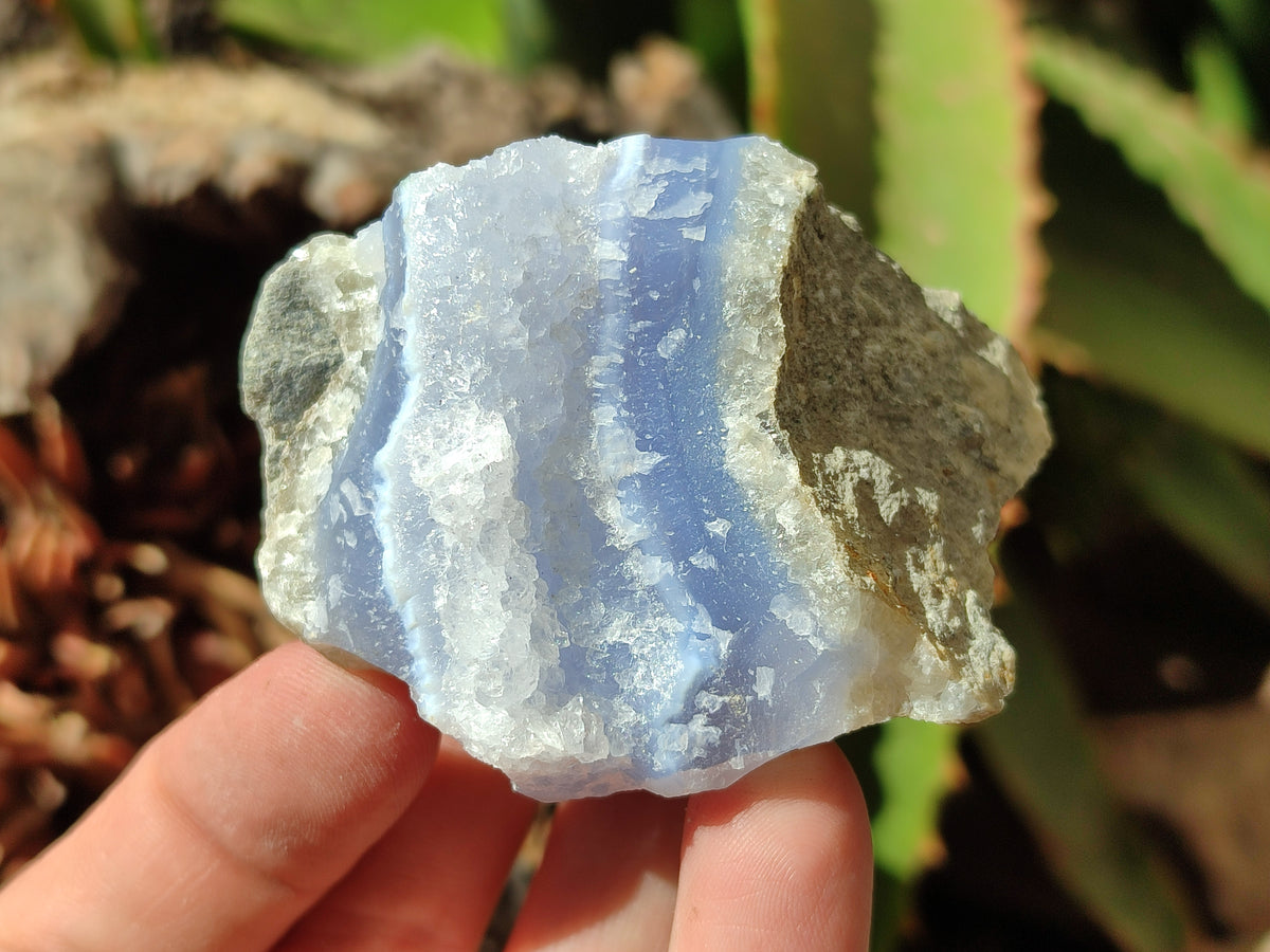 Natural Blue Lace Agate Geode Specimens x 35 From Malawi - Toprock Gemstones and Minerals 