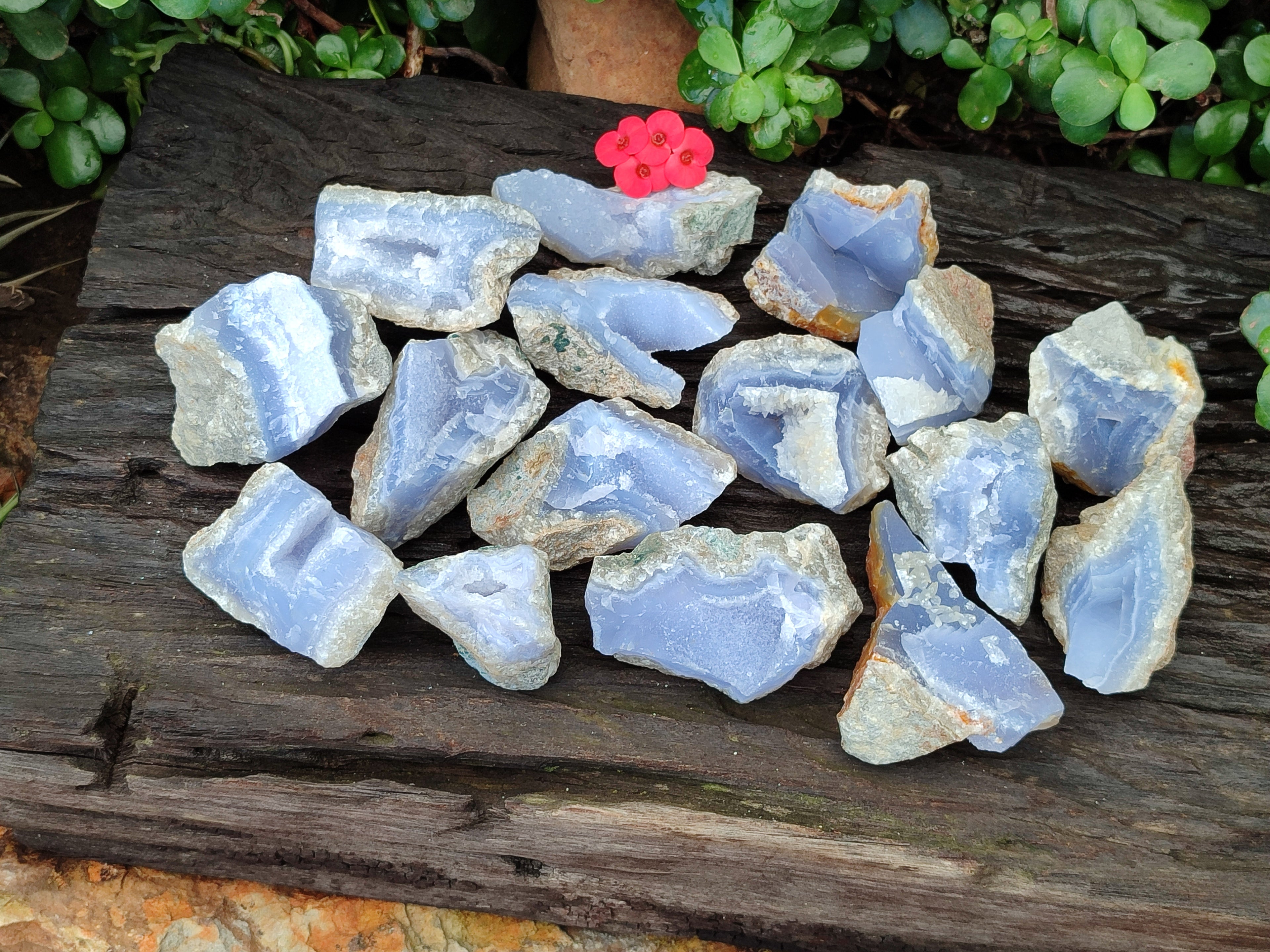 Natural Blue Lace Agate Geode Specimens x 35 From Malawi - Toprock Gemstones and Minerals 