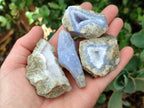 Natural Blue Lace Agate Geode Specimens x 35 From Malawi - Toprock Gemstones and Minerals 