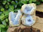 Natural Blue Lace Agate Geode Specimens x 35 From Malawi - Toprock Gemstones and Minerals 