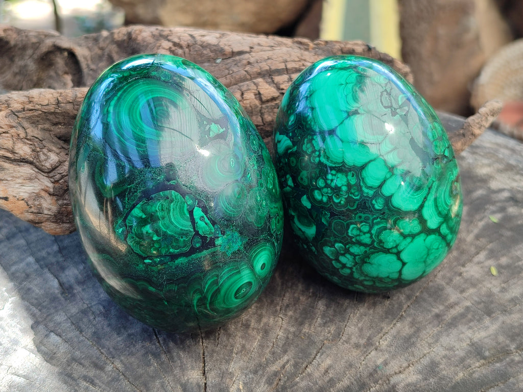 Polished Rare Extra Large Flower Banded Malachite Eggs  - Sold Per Item - From Congo - Toprock Gemstones and Minerals 