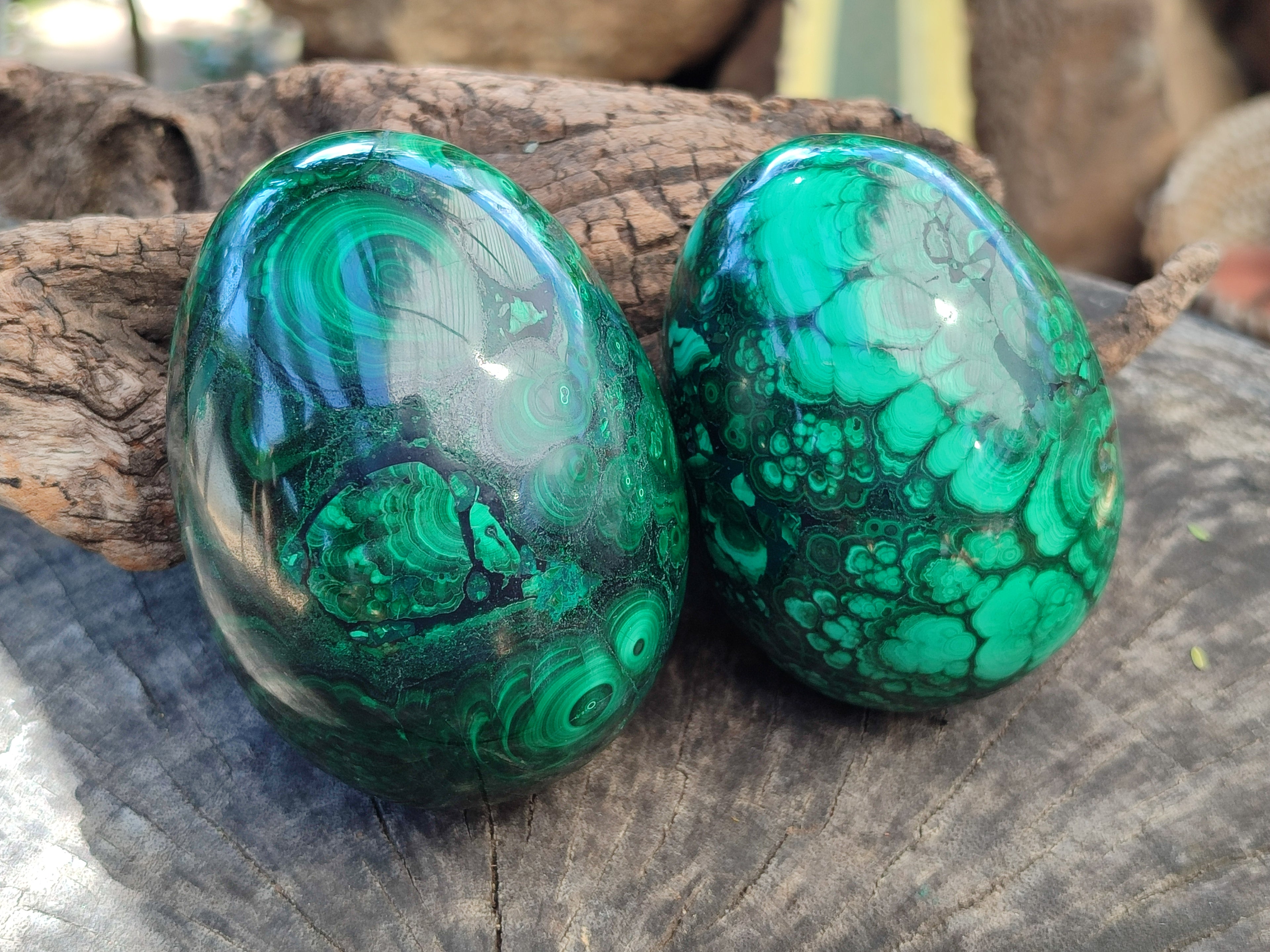 Polished Rare Extra Large Flower Banded Malachite Eggs  - Sold Per Item - From Congo - Toprock Gemstones and Minerals 