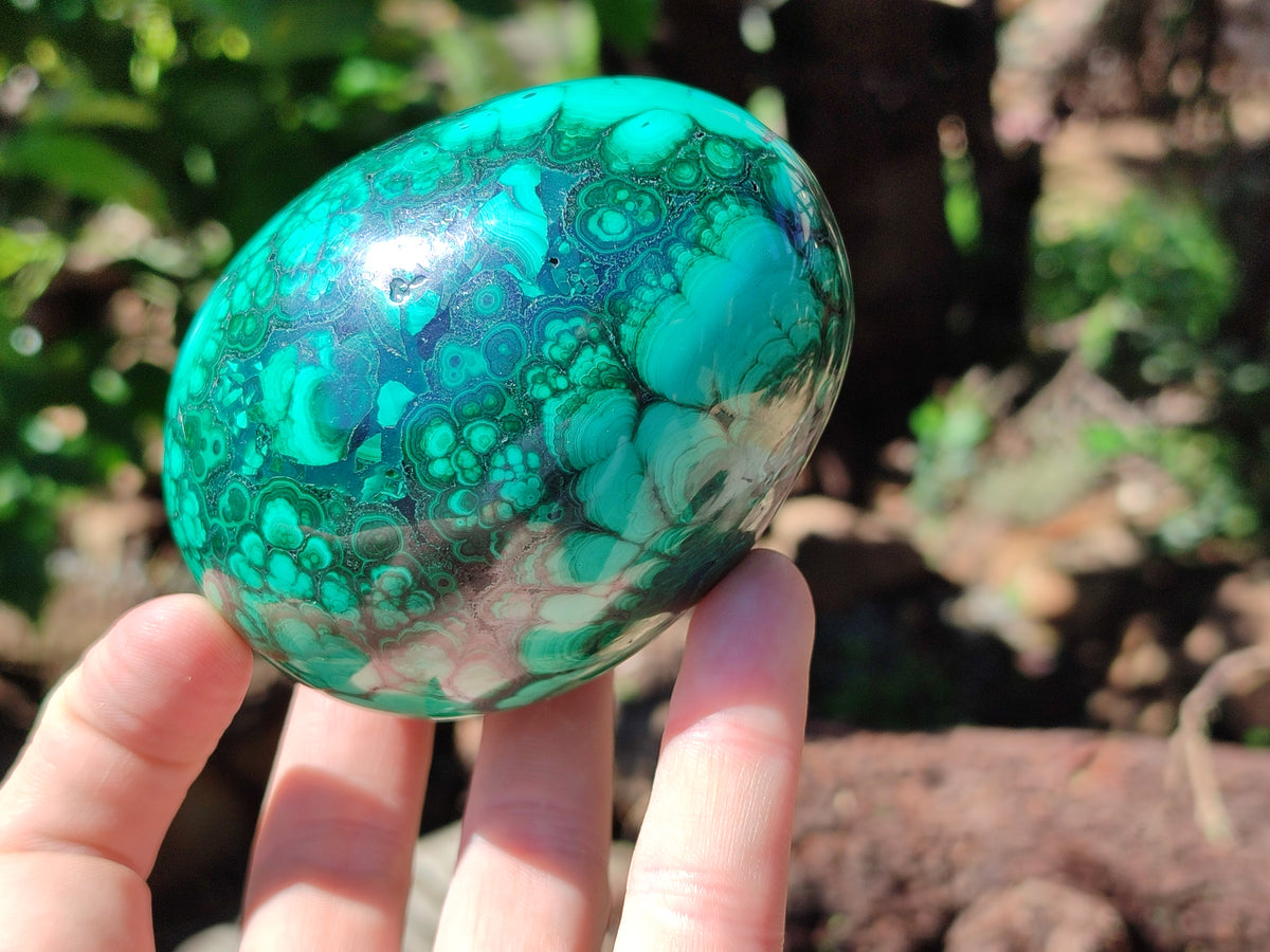 Polished Rare Extra Large Flower Banded Malachite Eggs  - Sold Per Item - From Congo - Toprock Gemstones and Minerals 