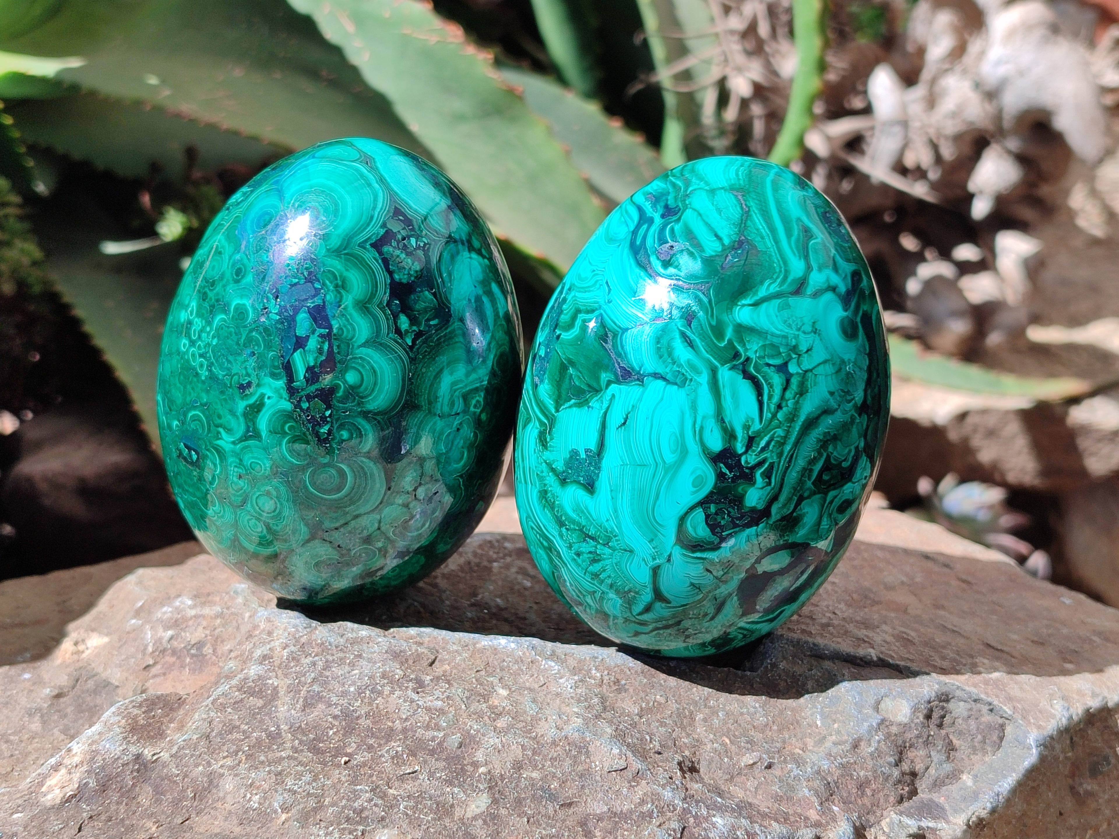 Polished Rare Extra Large Flower Banded Malachite Eggs  - Sold Per Item - From Congo - Toprock Gemstones and Minerals 