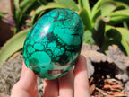 Polished Rare Extra Large Flower Banded Malachite Eggs  - Sold Per Item - From Congo - Toprock Gemstones and Minerals 