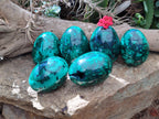 Polished Rare Extra Large Flower Banded Malachite Eggs  - Sold Per Item - From Congo - Toprock Gemstones and Minerals 