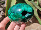 Polished Rare Extra Large Flower Banded Malachite Eggs  - Sold Per Item - From Congo - Toprock Gemstones and Minerals 