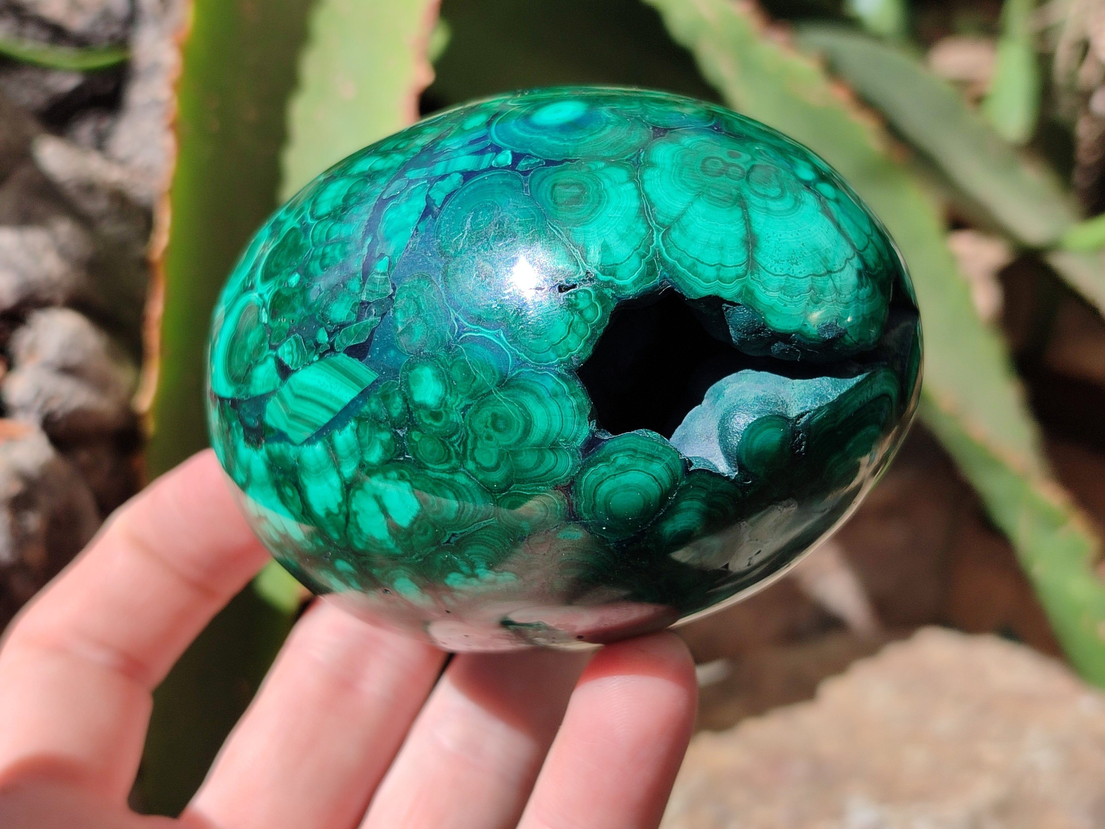 Polished Rare Extra Large Flower Banded Malachite Eggs  - Sold Per Item - From Congo - Toprock Gemstones and Minerals 