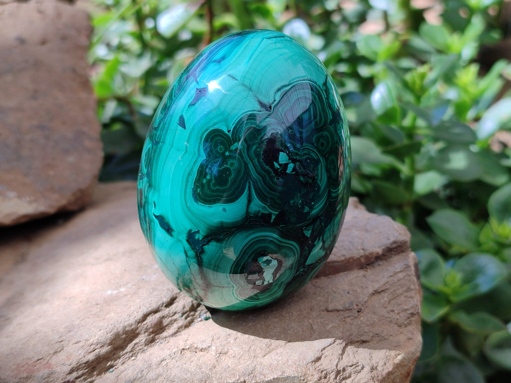 Polished Rare Extra Large Flower Banded Malachite Eggs  - Sold Per Item - From Congo - Toprock Gemstones and Minerals 