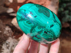 Polished Rare Extra Large Flower Banded Malachite Eggs  - Sold Per Item - From Congo - Toprock Gemstones and Minerals 