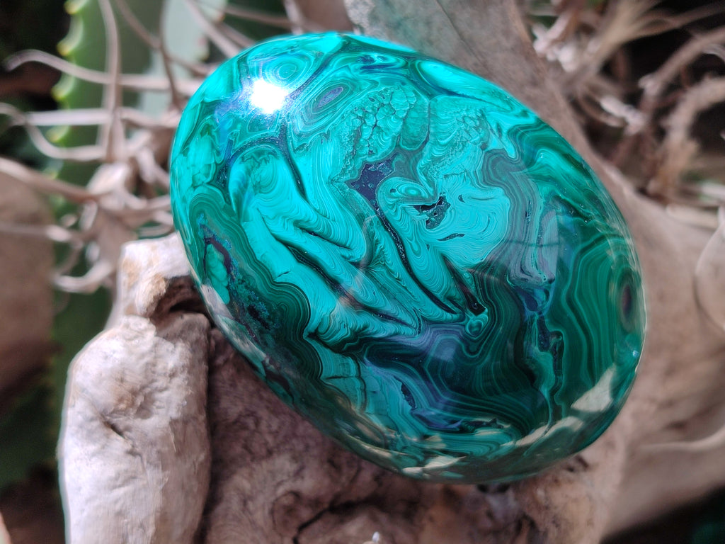 Polished Rare Extra Large Flower Banded Malachite Eggs  - Sold Per Item - From Congo - Toprock Gemstones and Minerals 