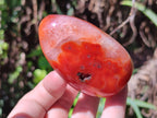 Polished Carnelian Standing Free Forms x 6 From Madagascar - Toprock Gemstones and Minerals 