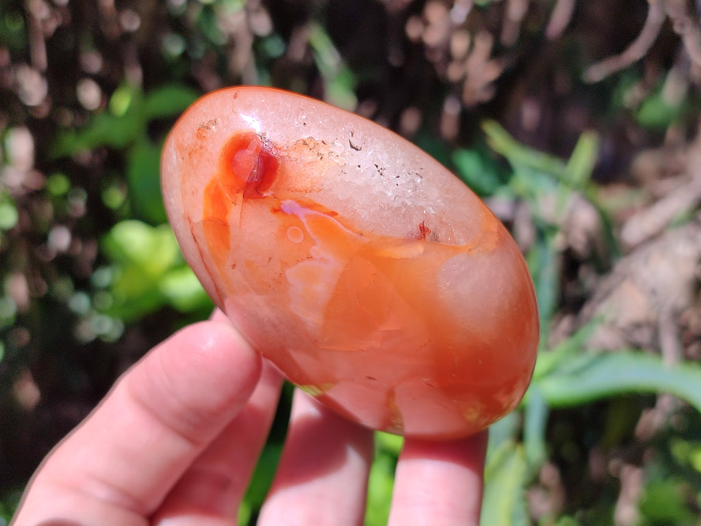 Polished Carnelian Standing Free Forms x 6 From Madagascar - Toprock Gemstones and Minerals 