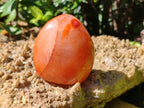 Polished Carnelian Standing Free Forms x 6 From Madagascar - Toprock Gemstones and Minerals 