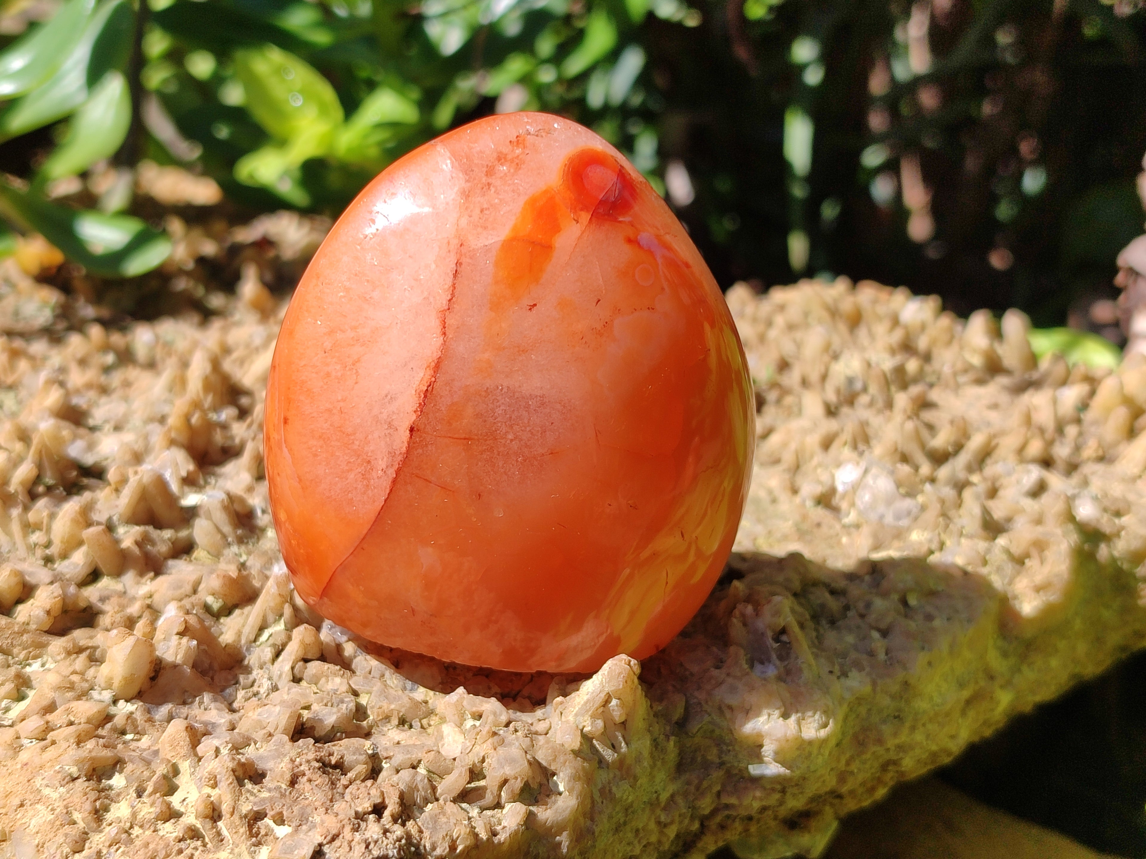 Polished Carnelian Standing Free Forms x 6 From Madagascar - Toprock Gemstones and Minerals 