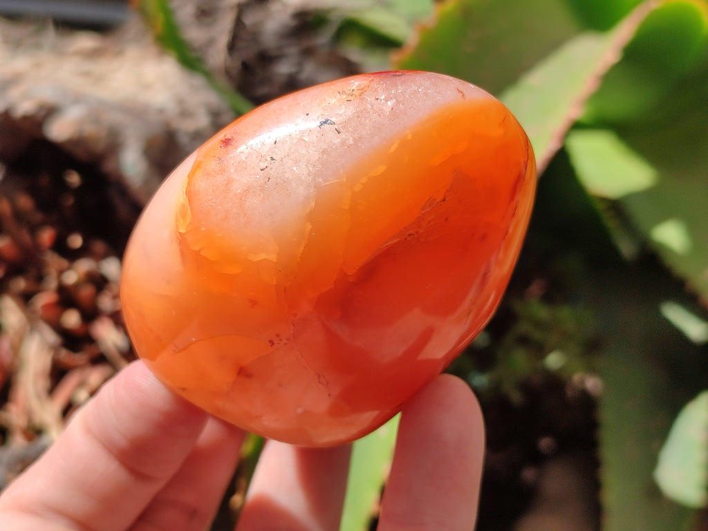 Polished Carnelian Standing Free Forms x 6 From Madagascar - Toprock Gemstones and Minerals 