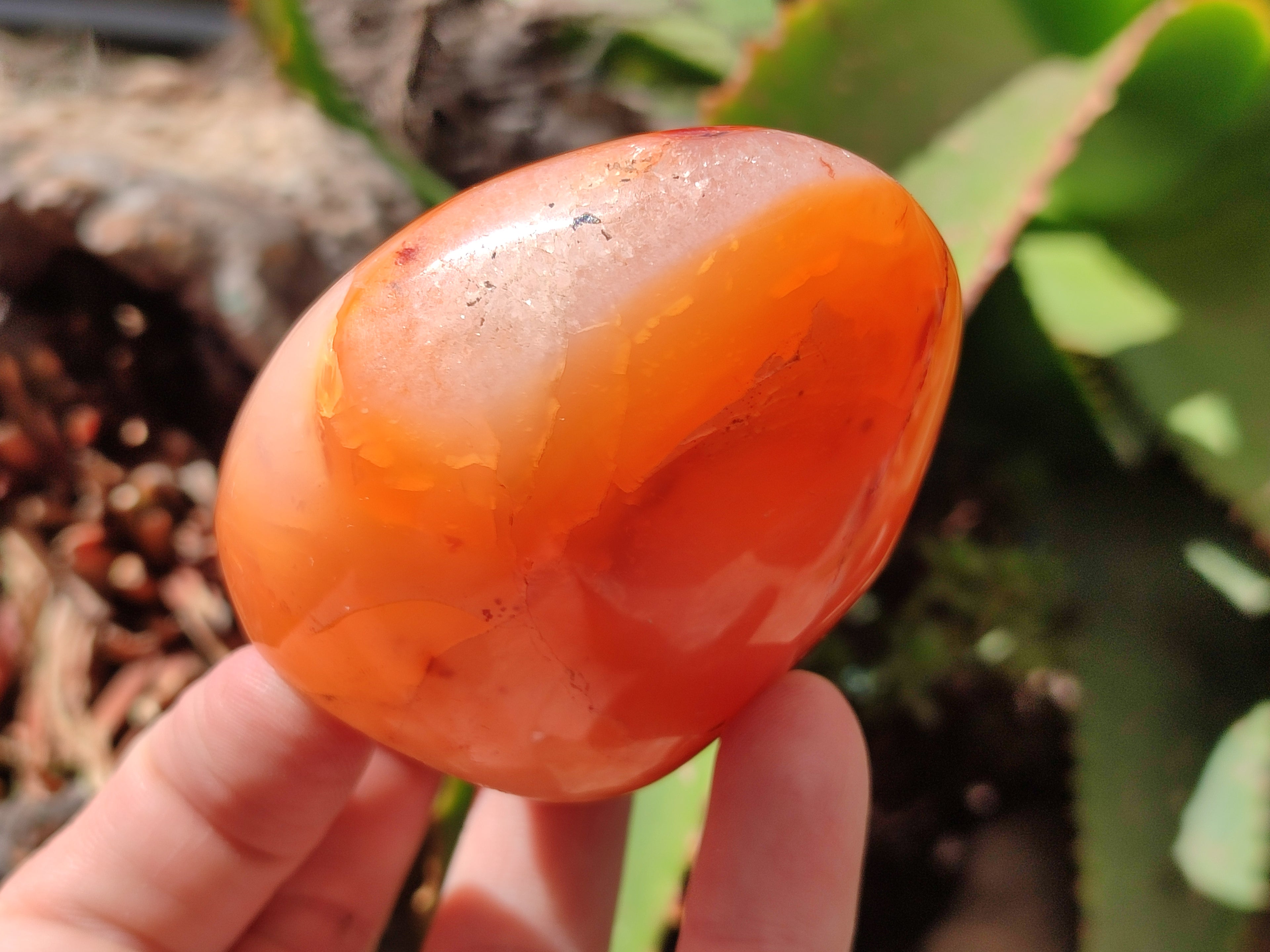 Polished Carnelian Standing Free Forms x 6 From Madagascar - Toprock Gemstones and Minerals 