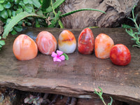 Polished Carnelian Standing Free Forms x 6 From Madagascar - Toprock Gemstones and Minerals 