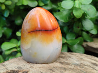 Polished Carnelian Standing Free Forms x 6 From Madagascar - Toprock Gemstones and Minerals 