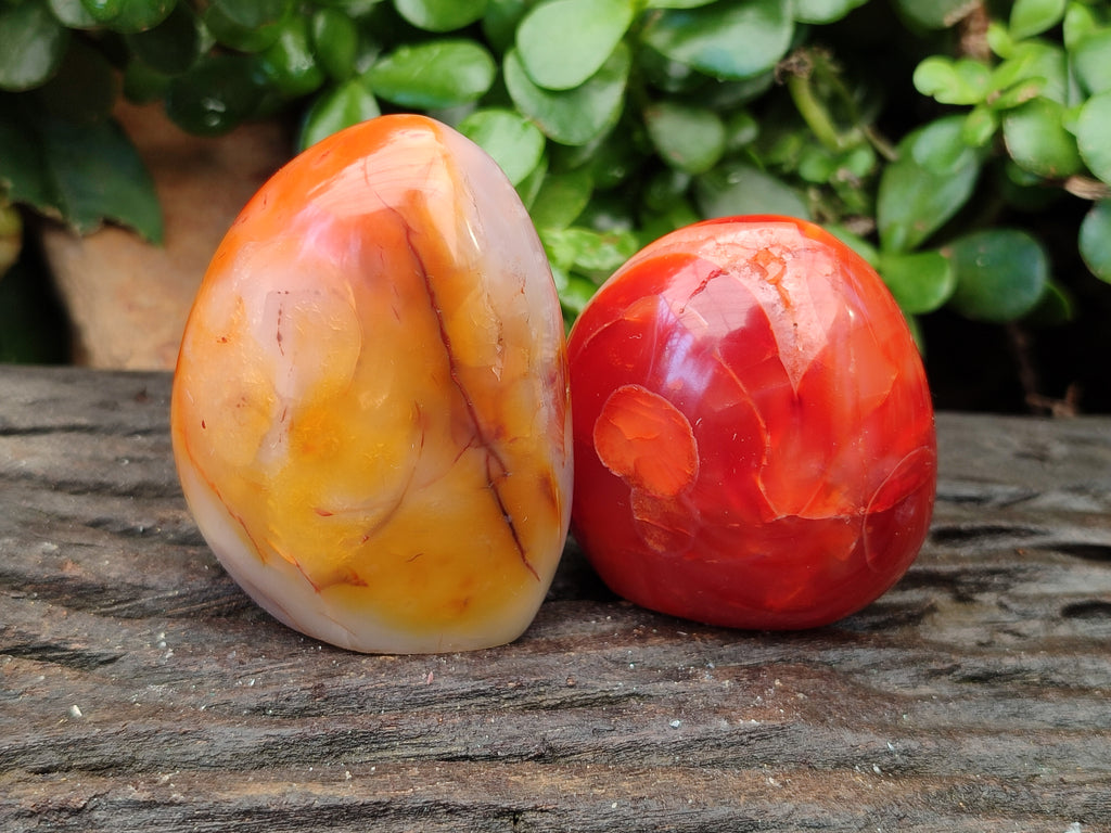 Polished Carnelian Standing Free Forms x 6 From Madagascar - Toprock Gemstones and Minerals 