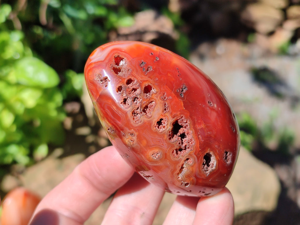 Polished Carnelian Standing Free Forms x 6 From Madagascar - Toprock Gemstones and Minerals 