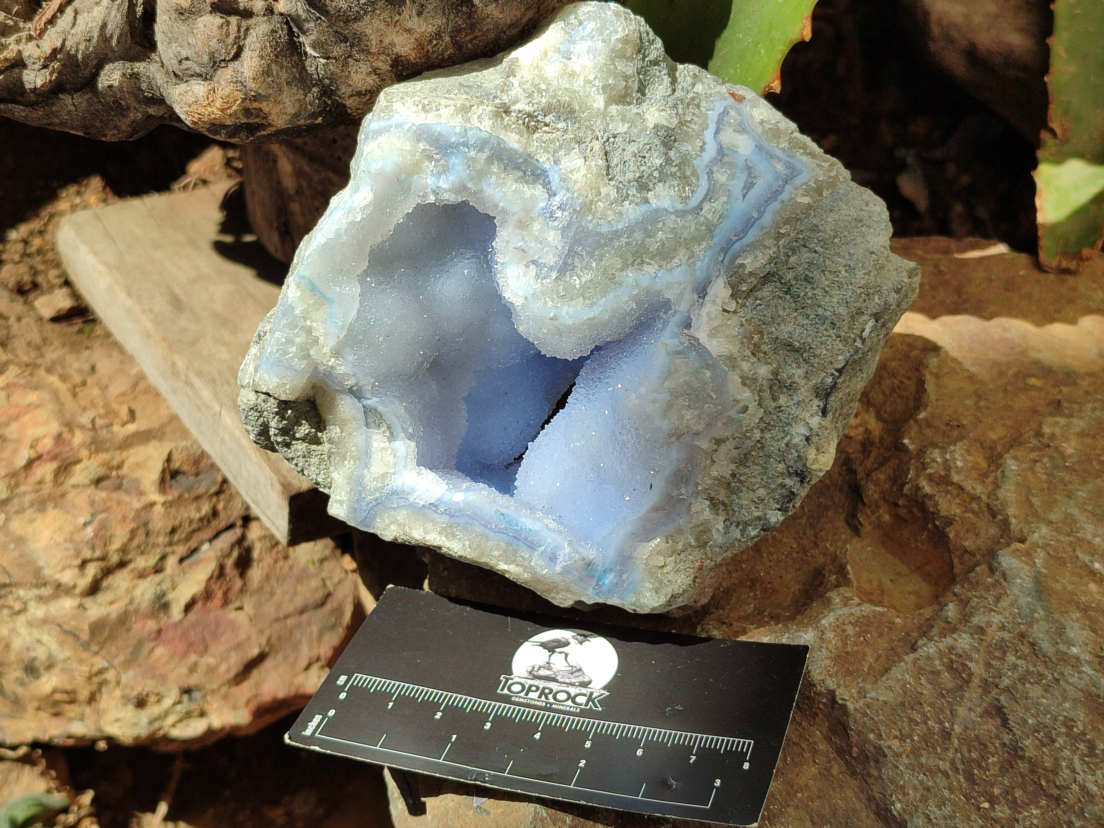 Natural Blue Lace Agate Geode Specimens x 3 From Malawi - Toprock Gemstones and Minerals 