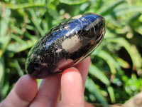 Polished Black Tourmaline Palm Stones x 12 From Madagascar - Toprock Gemstones and Minerals 