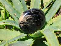Polished Black Tourmaline Palm Stones x 12 From Madagascar - Toprock Gemstones and Minerals 