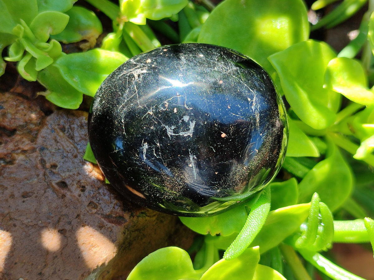 Polished Black Tourmaline Palm Stones x 12 From Madagascar - Toprock Gemstones and Minerals 