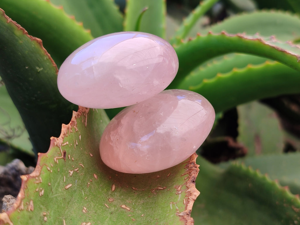 Polished Rose Quartz Palm Stones x 12 From Madagascar - Toprock Gemstones and Minerals 