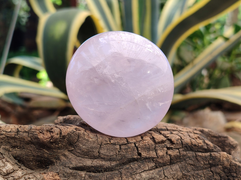 Polished Rose Quartz Palm Stones x 12 From Madagascar - Toprock Gemstones and Minerals 