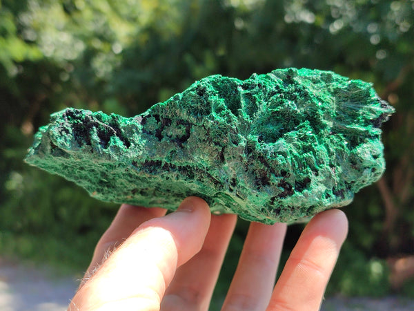 Natural Silky Malachite Specimens x 2 From Kasompe, Congo - Toprock Gemstones and Minerals 