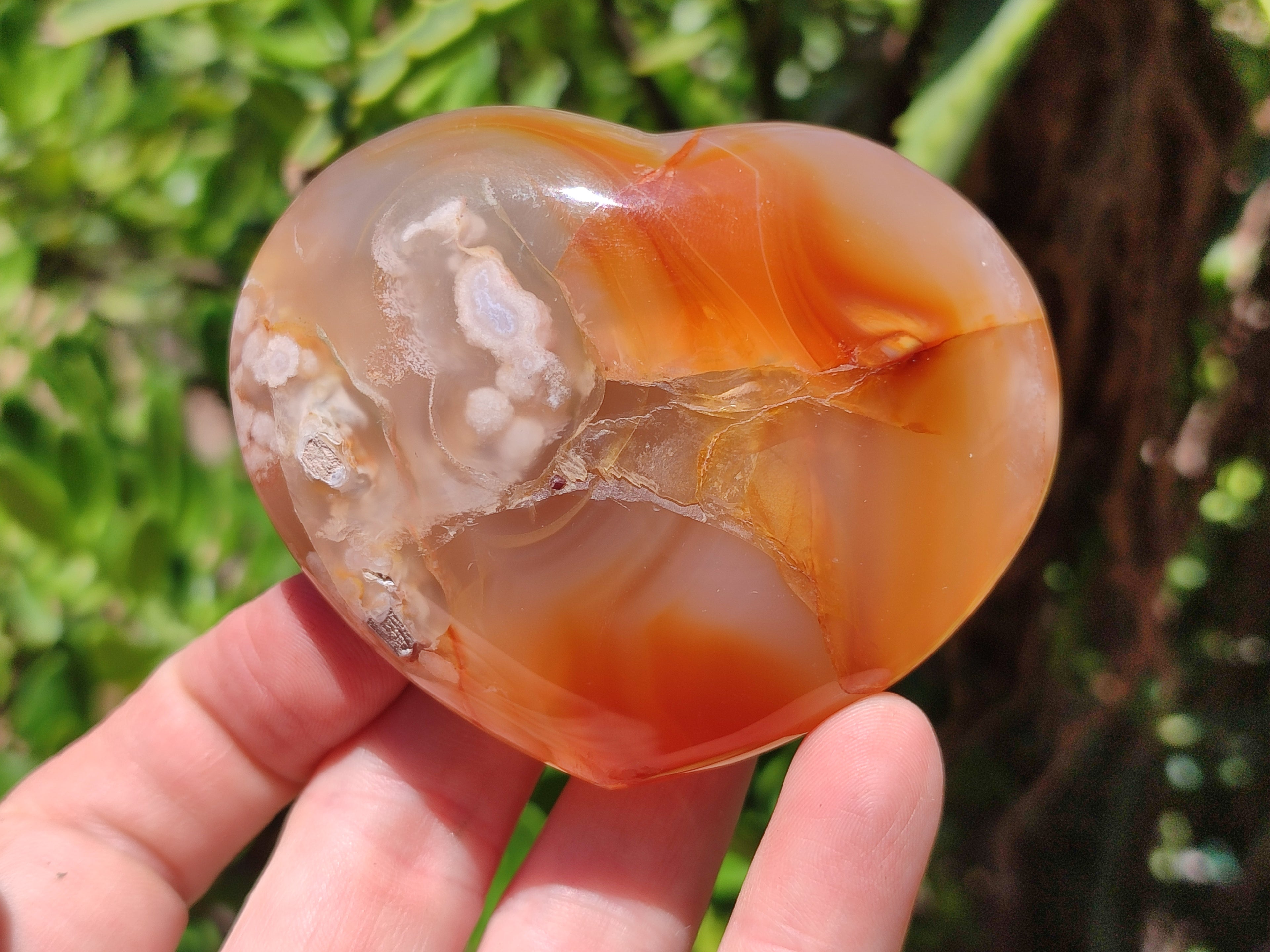 Polished Flower Agate Gemstone Hearts x 7 From Madagascar - Toprock Gemstones and Minerals 