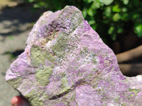 Natural Stichtite Specimen x 1 From Barberton, South Africa - Toprock Gemstones and Minerals 