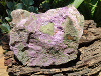 Natural Stichtite Specimen x 1 From Barberton, South Africa - Toprock Gemstones and Minerals 