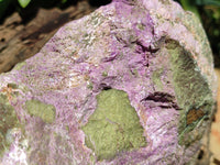 Natural Stichtite Specimen x 1 From Barberton, South Africa - Toprock Gemstones and Minerals 