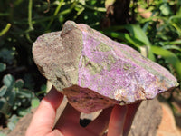 Natural Stichtite Specimen x 1 From Barberton, South Africa - Toprock Gemstones and Minerals 