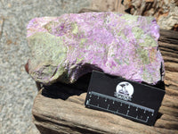 Natural Stichtite Specimen x 1 From Barberton, South Africa - Toprock Gemstones and Minerals 