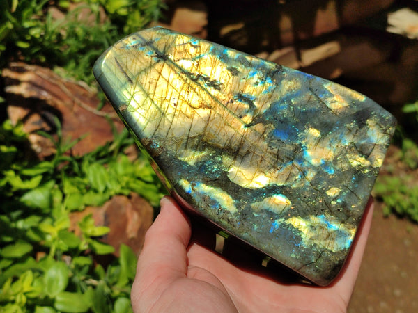 Polished Labradorite Standing Free Forms x 2 From Madagascar - Toprock Gemstones and Minerals 