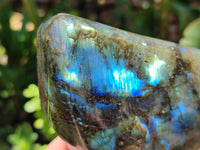 Polished Labradorite Standing Free Forms x 2 From Madagascar - Toprock Gemstones and Minerals 